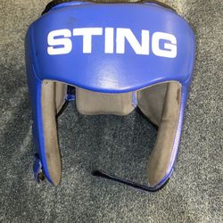 Sting Headgear