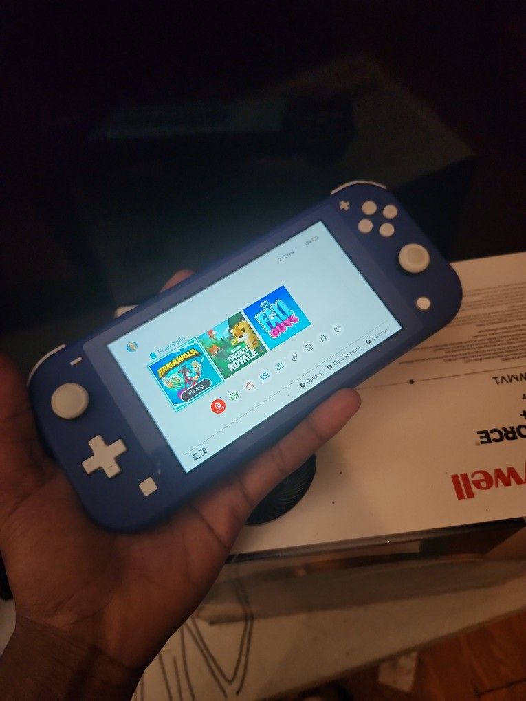 Nintendo Switch Lite
