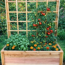 🌿Make your plants happy!🌿