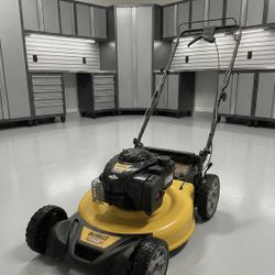 DEWALT (with Briggs & Stratton engine)