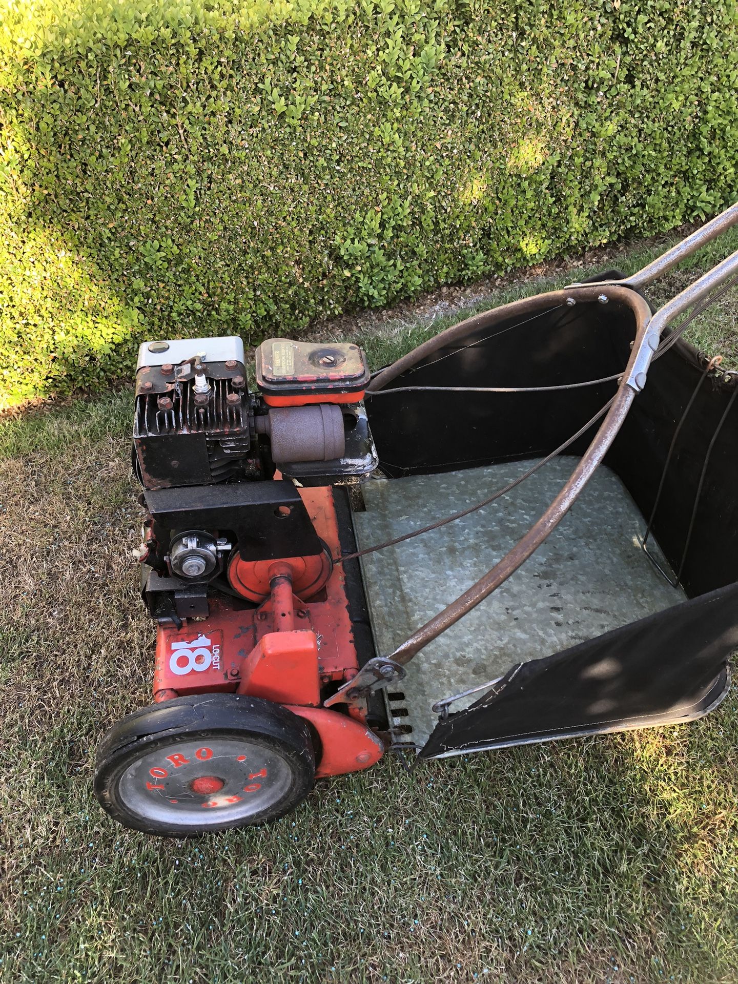 Toro Sport lawn Reel Mower for Sale in Seattle WA OfferUp