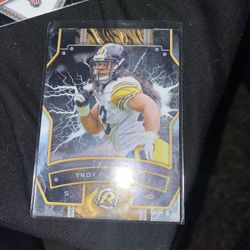 Troy Polamalu 