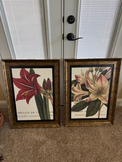 Beautiful flower pictures