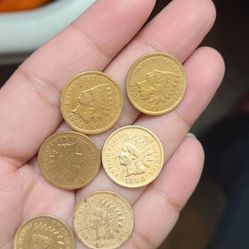6 indian head penny 