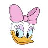 Daisy D