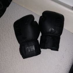 8 oz Gloves 