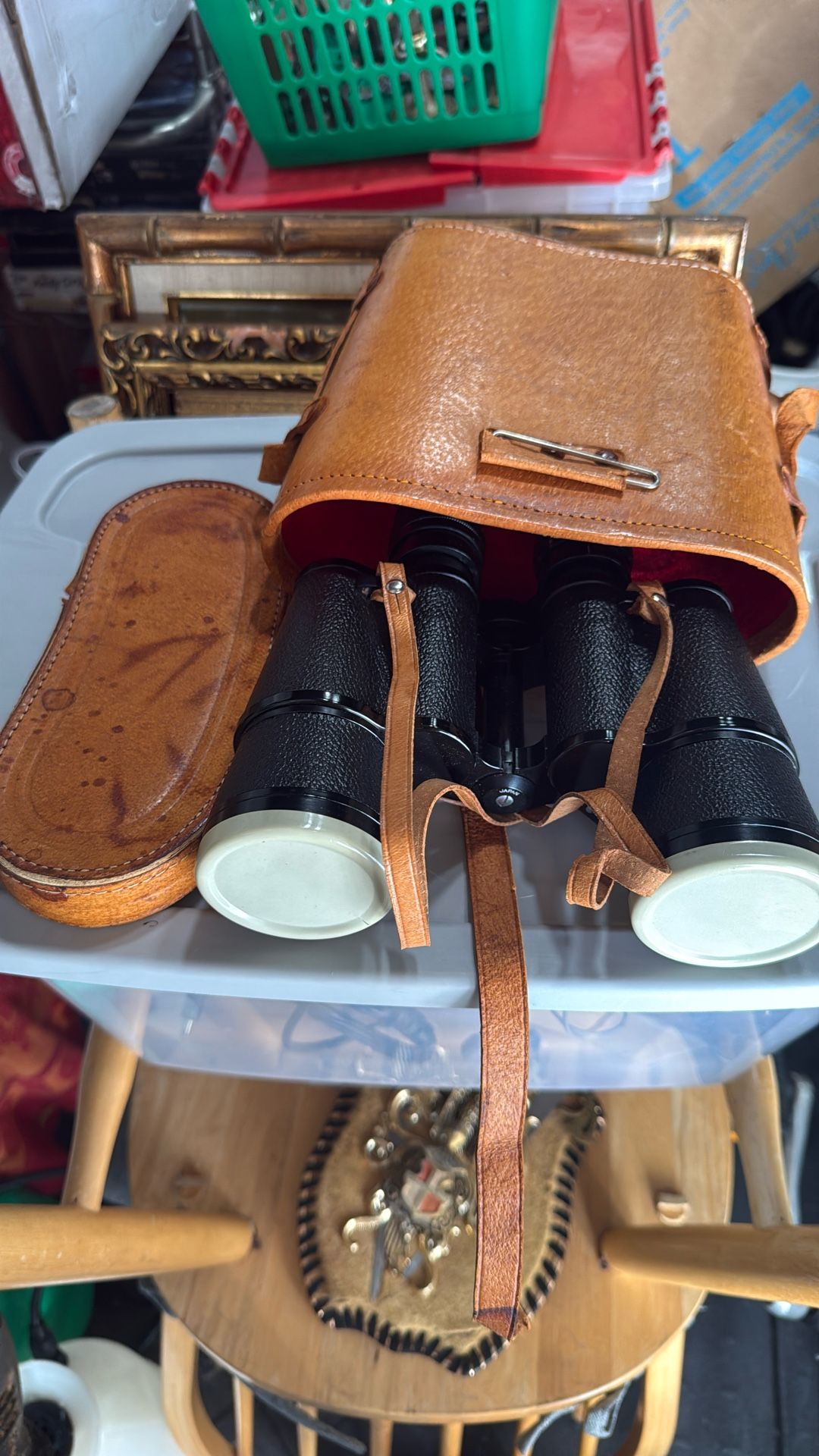Bicolores Vintage