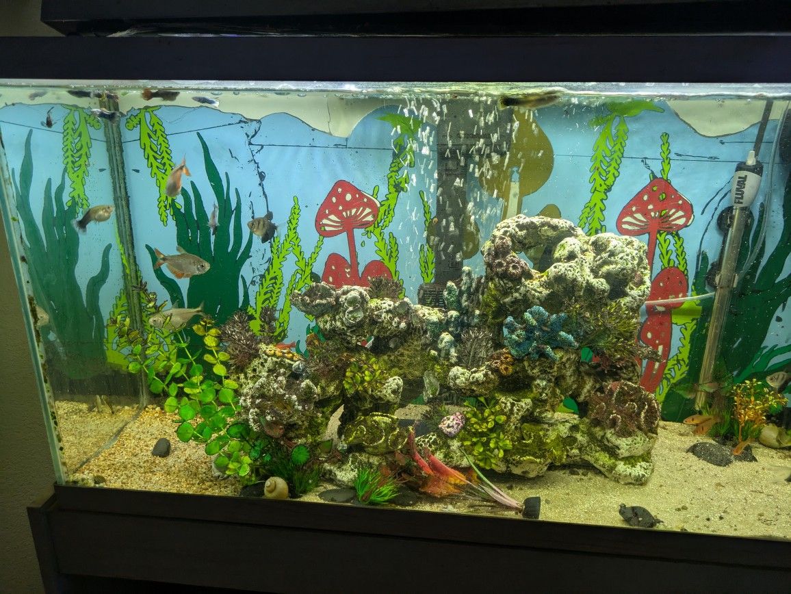 Fish Tank