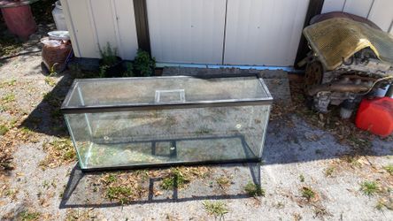 Pet Tan Fish 4 Fitt 48 Inche