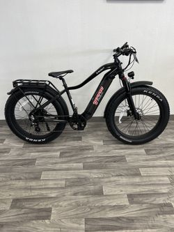Electric Bike: Young Electric ESCOUT