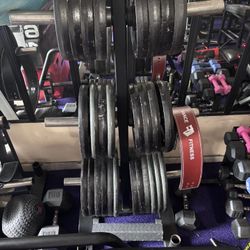 Iron Plates/ Bumper Plates 