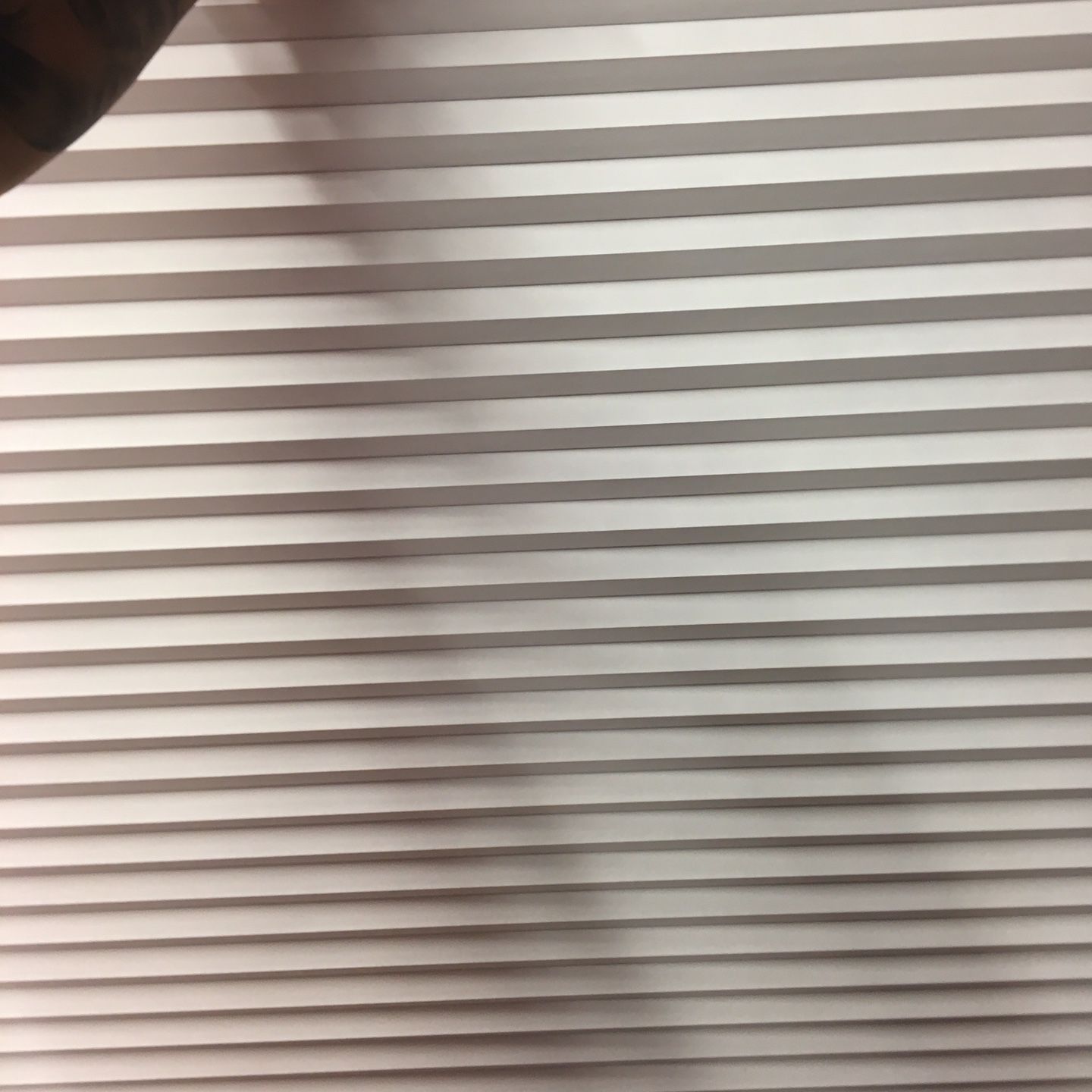 HD Cell (honeycomb) blackout shades