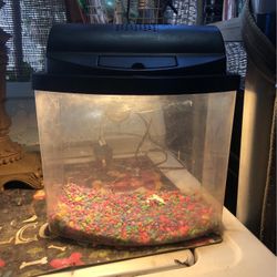 Fish/snake Plastic Tank