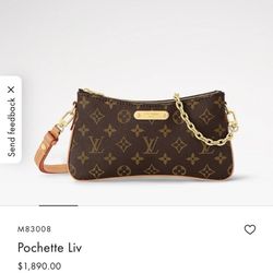 Louis Vuitton Pochette