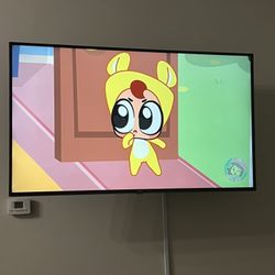 65” LG TV  / TV  Mount