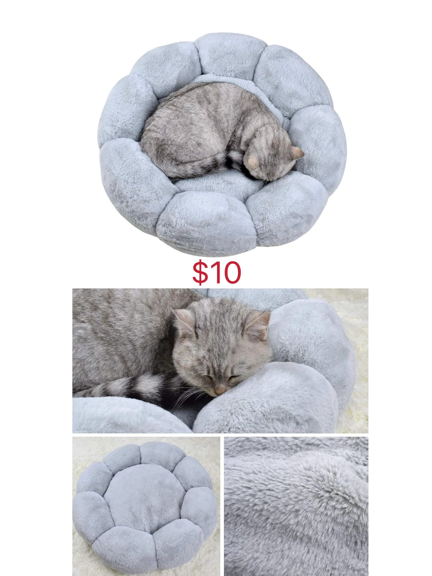 Cat Bed