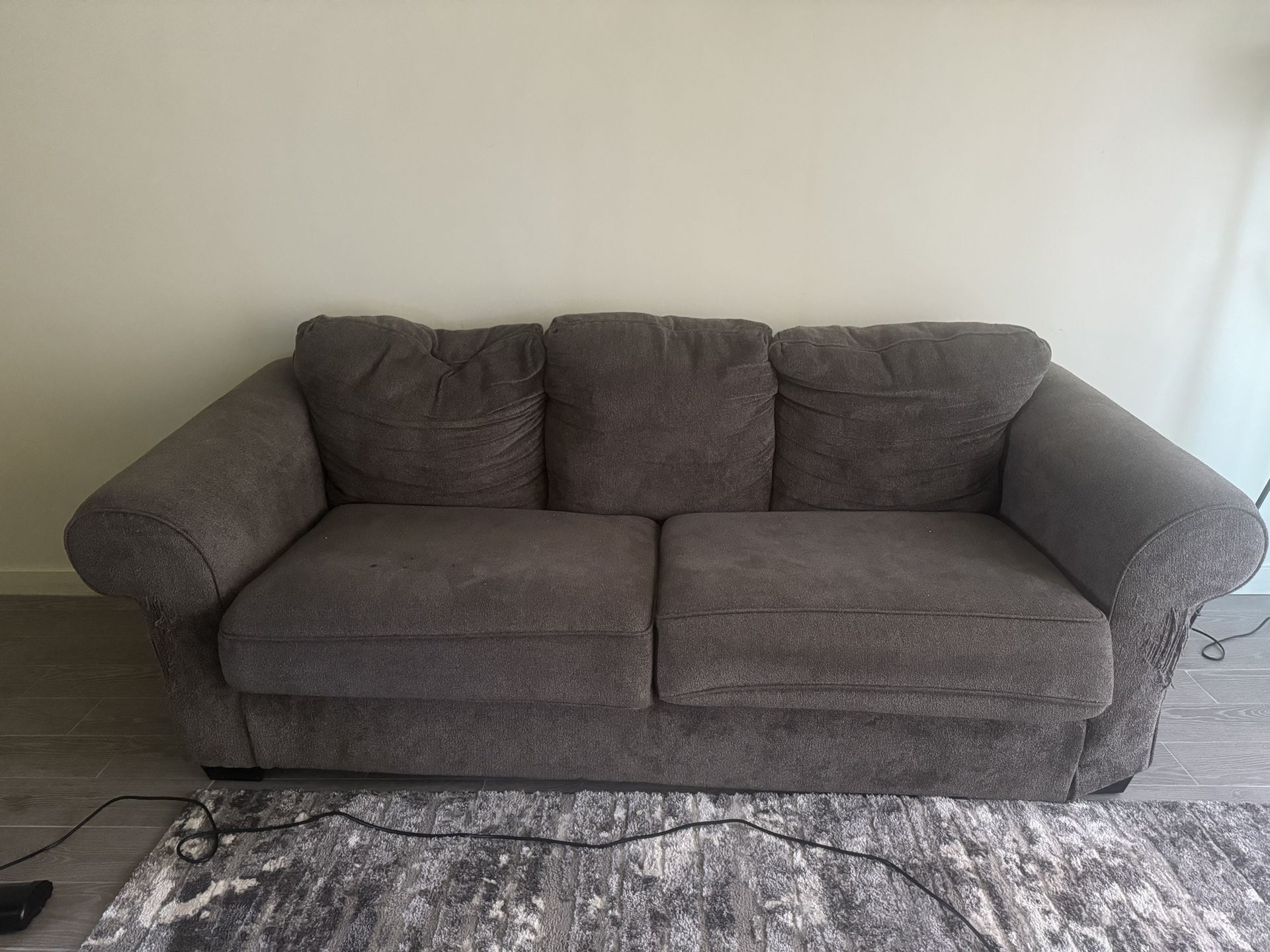 Couch With Pull Out Bed