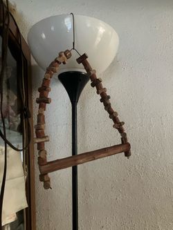 $15, Bird swing