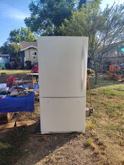 free refrigerator