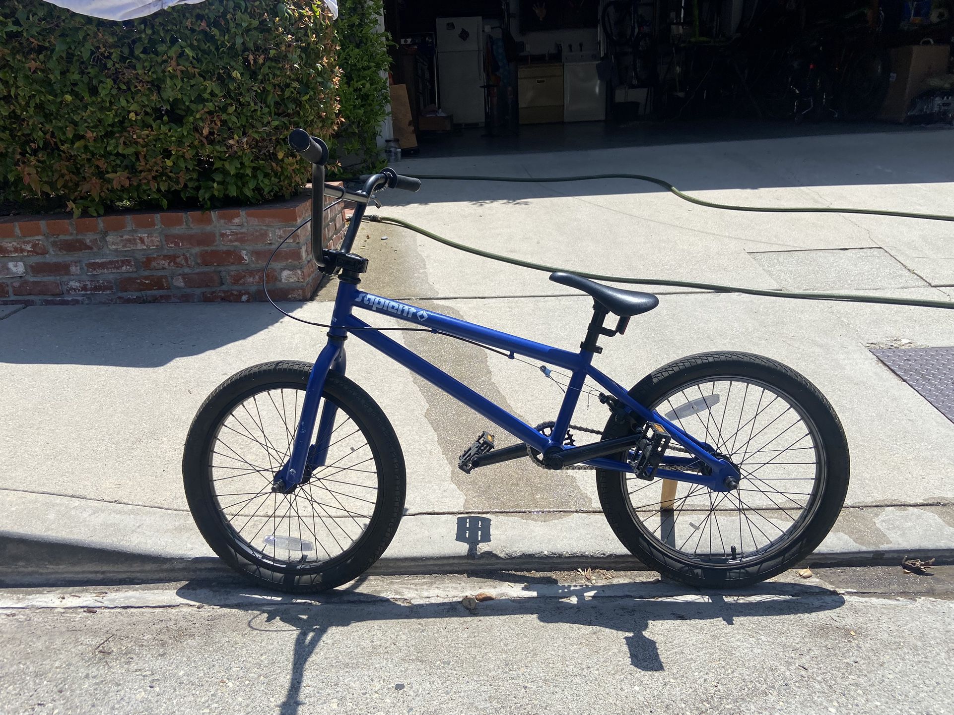 Sapient BMX Bike