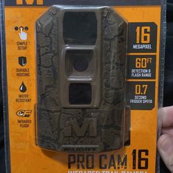 Trail Camera