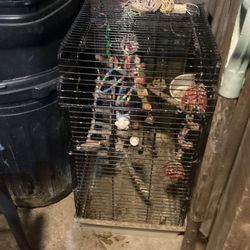 Bird Cage