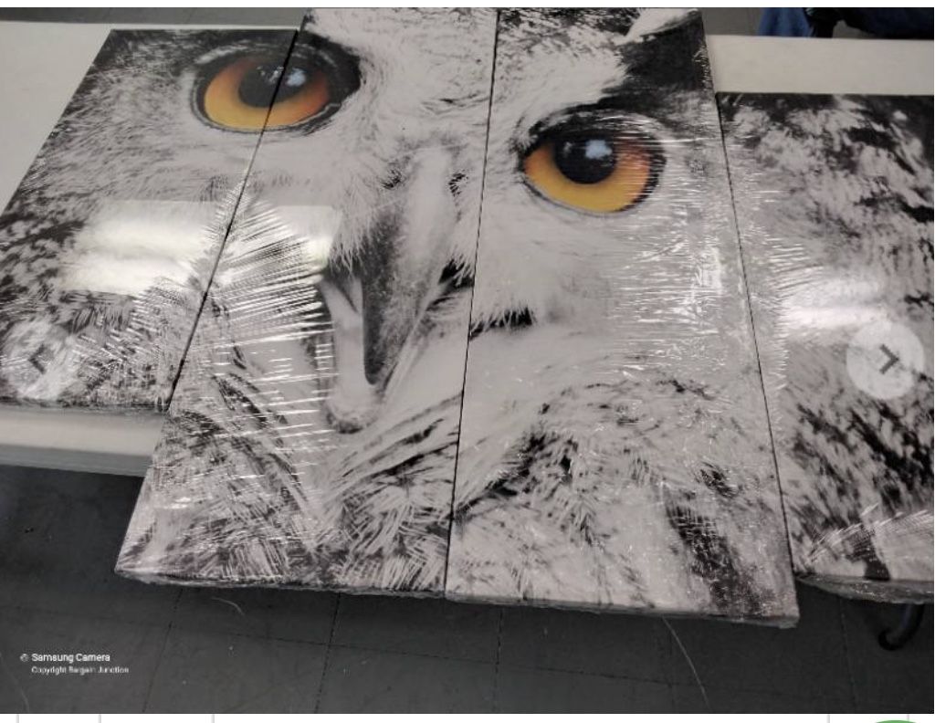 4 pc Canvas Wall Art