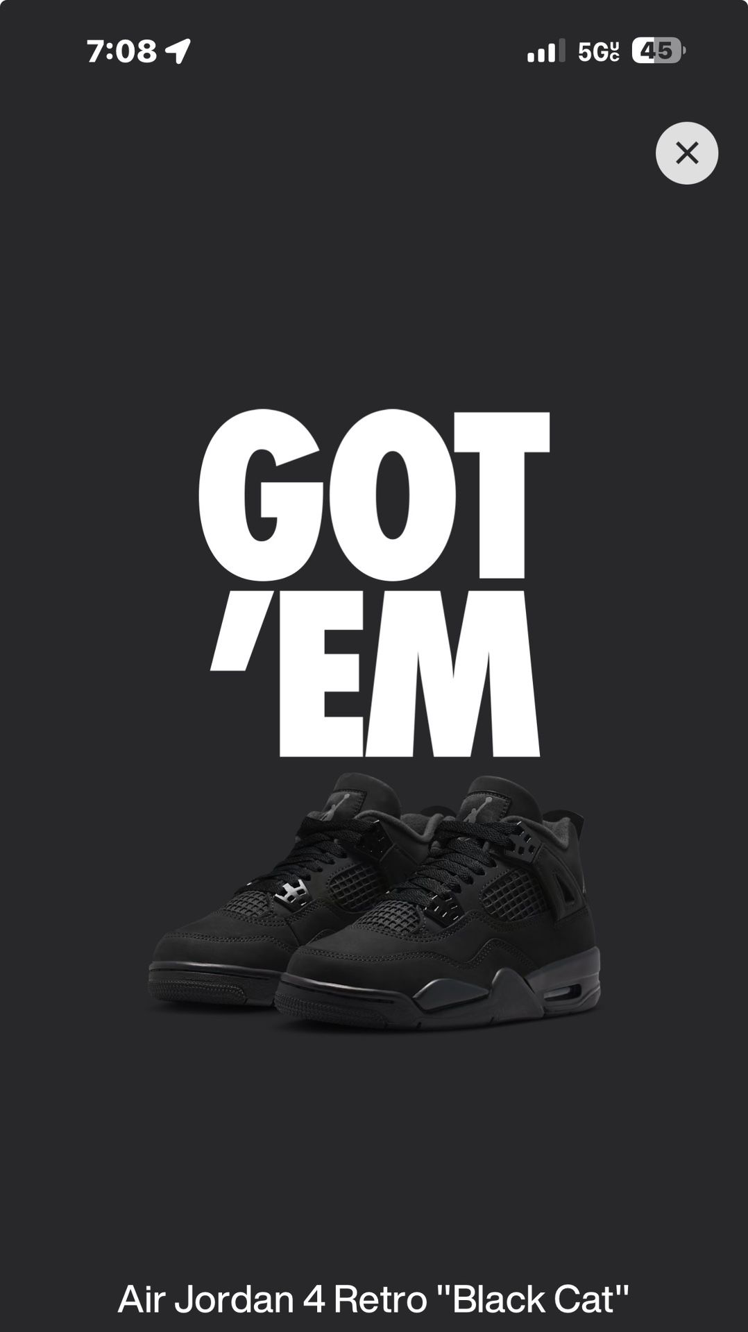 Air Jordan 4 “Black Cat”
