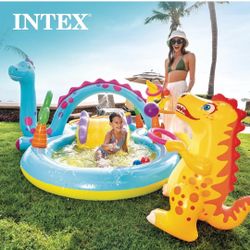Dinoland play center pool