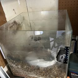 15gal Rimless Tank With Extras