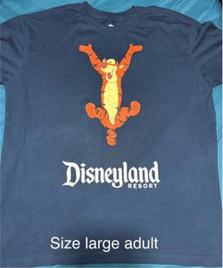 Disney clothing