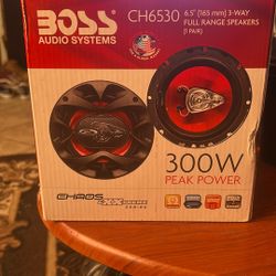 Boss Audio System