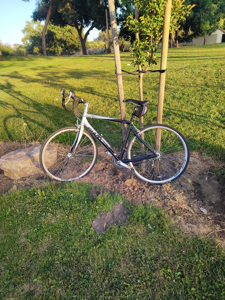 Giant OCR3