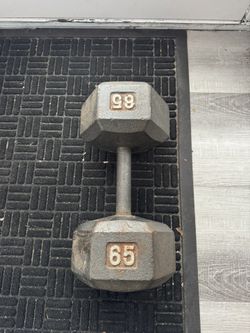 65 Lbs Dumbbell 