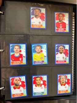 Panini stickers blue border