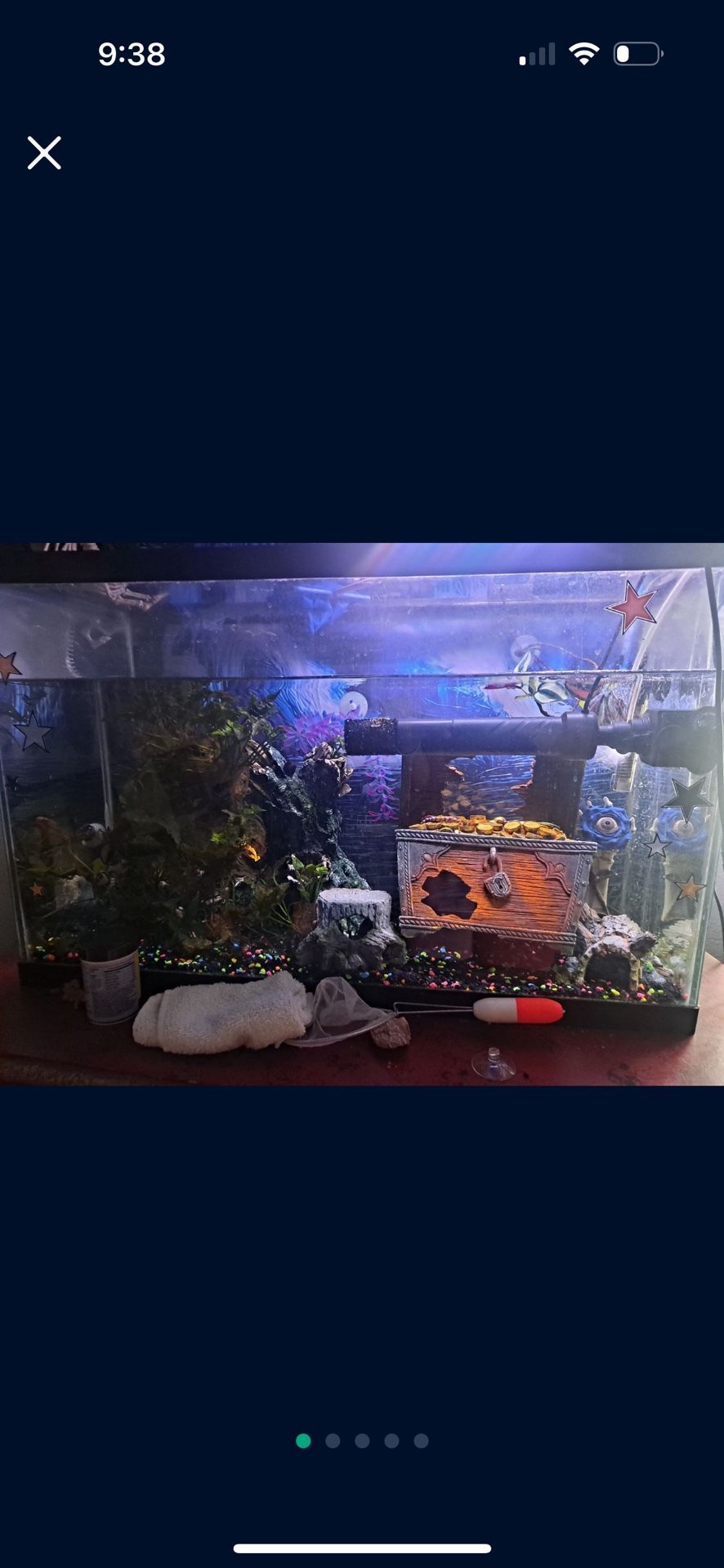 35 Gallon Fish Tank