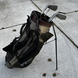 Ping J Bag Stand/Carry Golf Bag 4-way & Ping G5 3-9 Iron set 