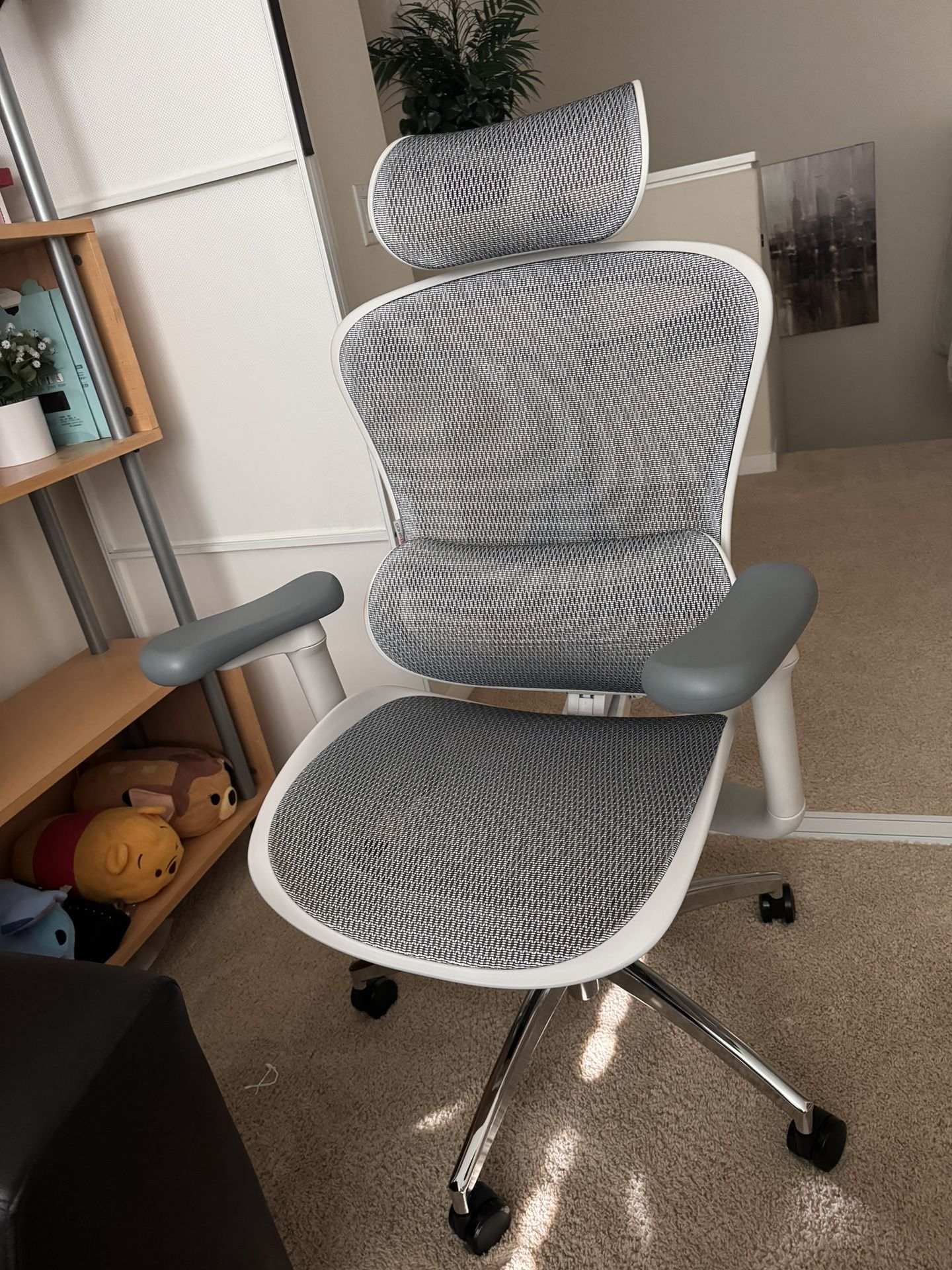 Sihoo C300 Ergonomic Office Gaming Chair