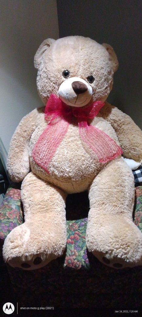 Huge Hugable Teddy Bear 