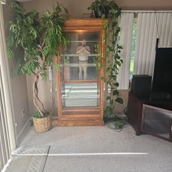 Curio Cabinet 