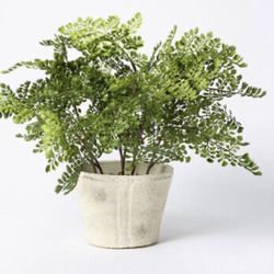 Studio McGee With Threshold NEW 2021 18”x15” Artificial Fern Plant in Pot 