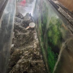 50 Gallon Salt Water Fish Tank Starter Kit