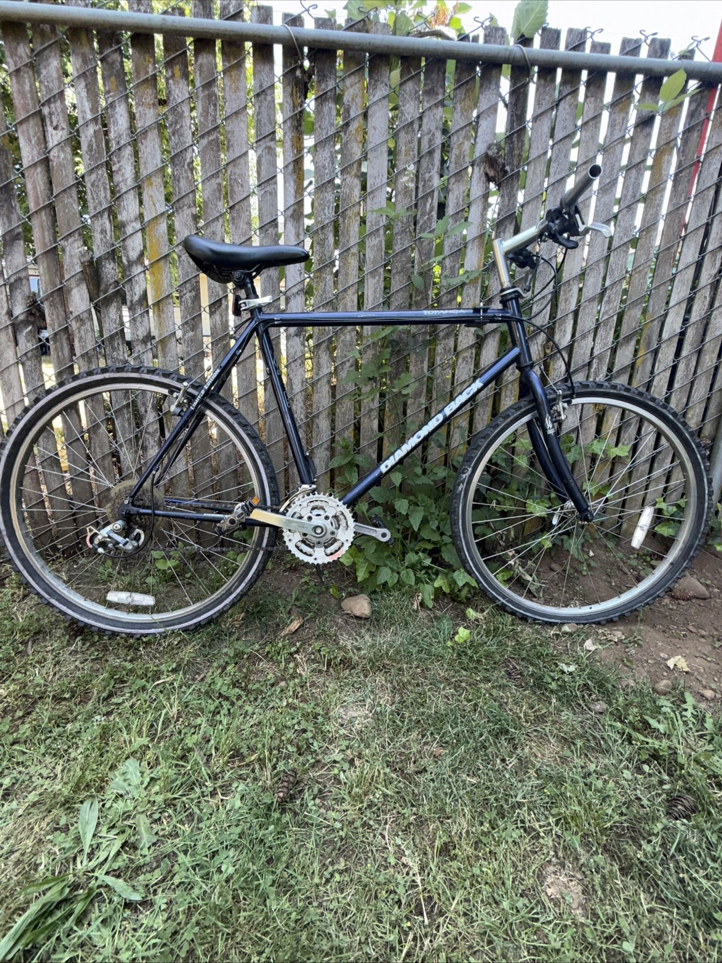 Vintage 90’s Diamondback Topanga Limited Edition Road Bike