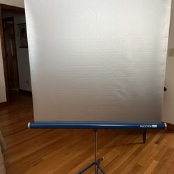 Da-Lite Projection screen