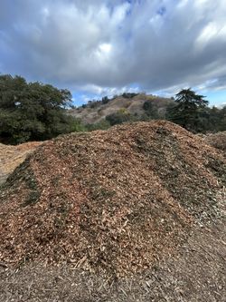 Mulch