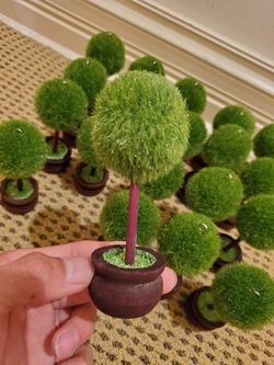 Green Topiary photo holder / Place card holder