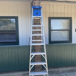 8ft Ladder 