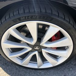 Tesla Model 3 20” Winter Wheel/Tire Set Michelin Pilot Alpin PA4