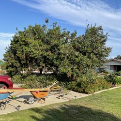 Landscape Works And Maintenance Clean Ups Hauling