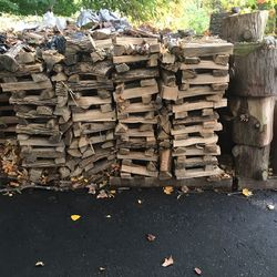 Firewood Stacks